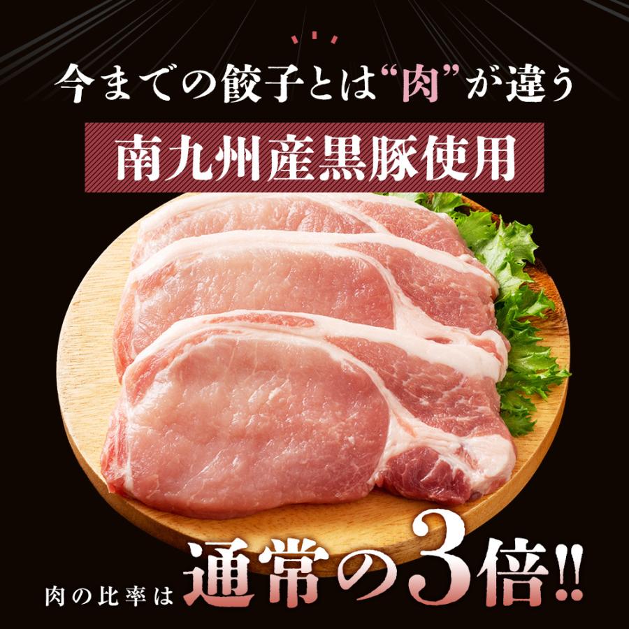 もっちり くろぶた餃子10個入 お試し 同梱  生餃子 宮崎餃子 高鍋餃子 宮崎産黒豚 国産小麦粉使用 ぎょうざ 特産品 肉汁 ラヴィット！ 熱狂マニアさん |  | 04