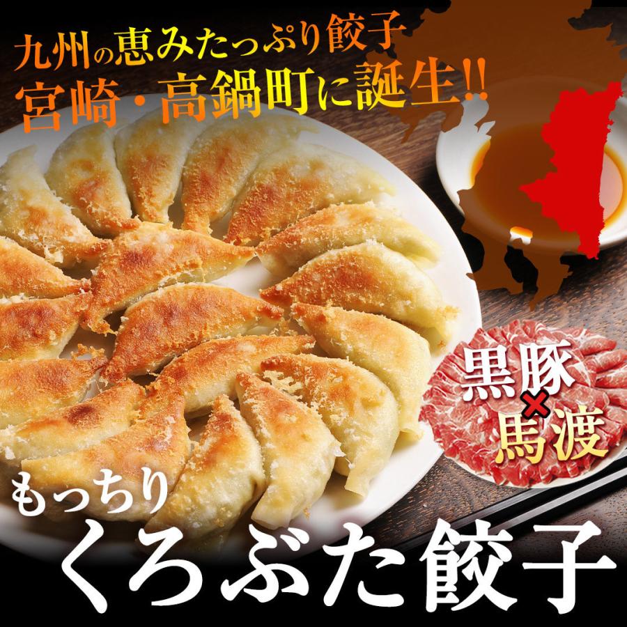 もっちり くろぶた餃子30個  生餃子 高鍋餃子 宮崎餃子 宮崎産黒豚 国産100% 特産品 肉汁 ラード ラヴィット！ 熱狂マニアさん 王様のブランチ |  | 01