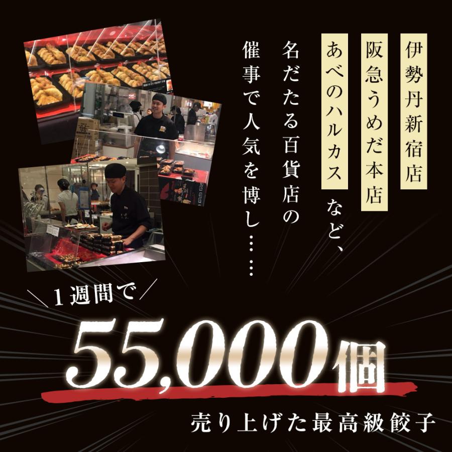 もっちり くろぶた餃子30個  生餃子 高鍋餃子 宮崎餃子 宮崎産黒豚 国産100% 特産品 肉汁 ラード ラヴィット！ 熱狂マニアさん 王様のブランチ |  | 03