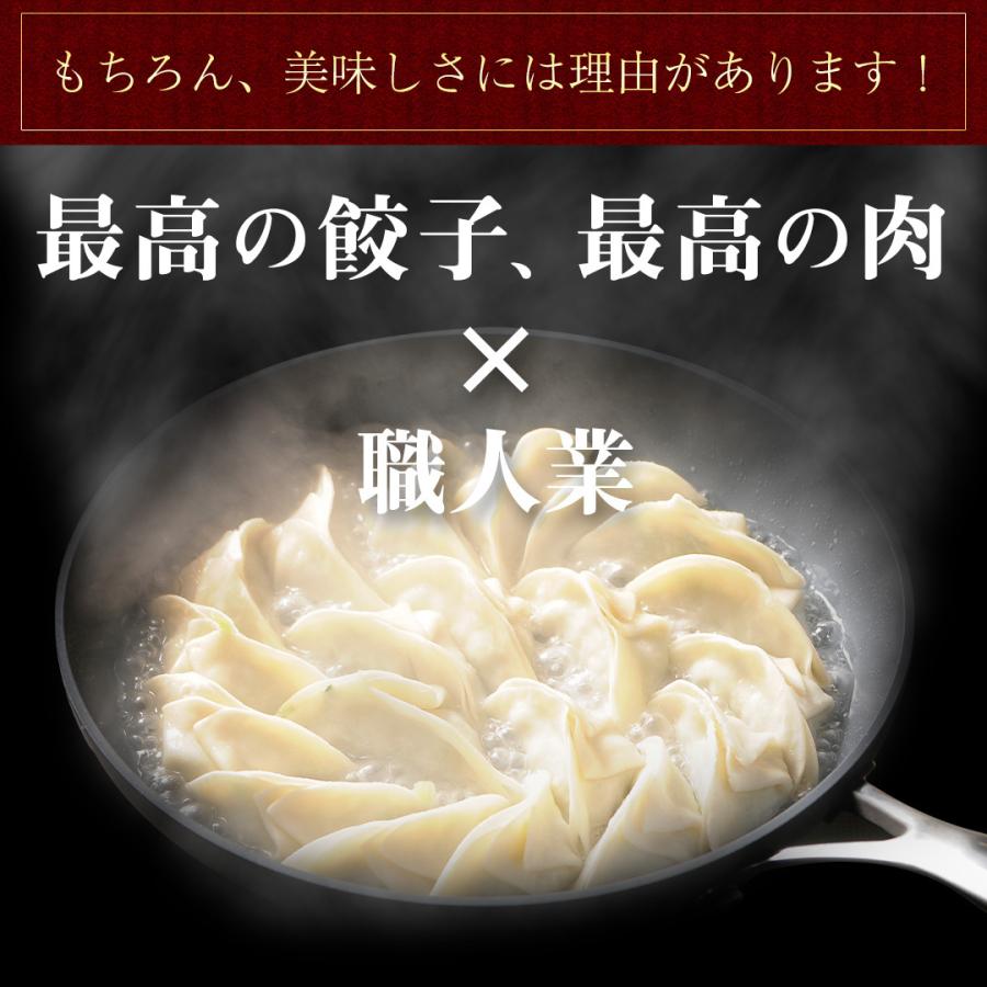 もっちり くろぶた餃子30個  生餃子 高鍋餃子 宮崎餃子 宮崎産黒豚 国産100% 特産品 肉汁 ラード ラヴィット！ 熱狂マニアさん 王様のブランチ |  | 04