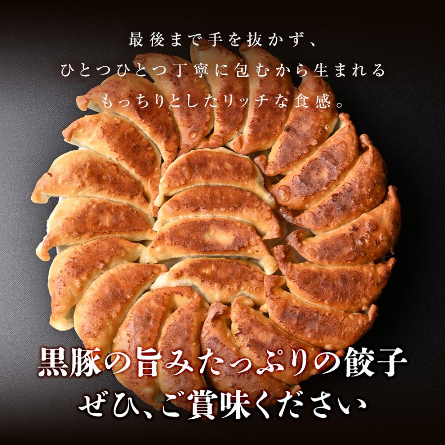 もっちり くろぶた餃子30個  生餃子 高鍋餃子 宮崎餃子 宮崎産黒豚 国産100% 特産品 肉汁 ラード ラヴィット！ 熱狂マニアさん 王様のブランチ |  | 07