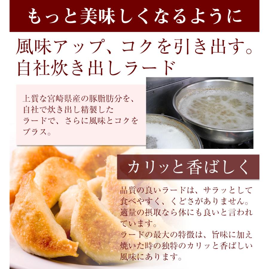 【送料無料】もっちり餃子100個  生餃子 宮崎餃子大容量 もちもち ラヴィット！ 熱狂マニアさん マツコ 知らない世界 秘密のケンミンショー |  | 14