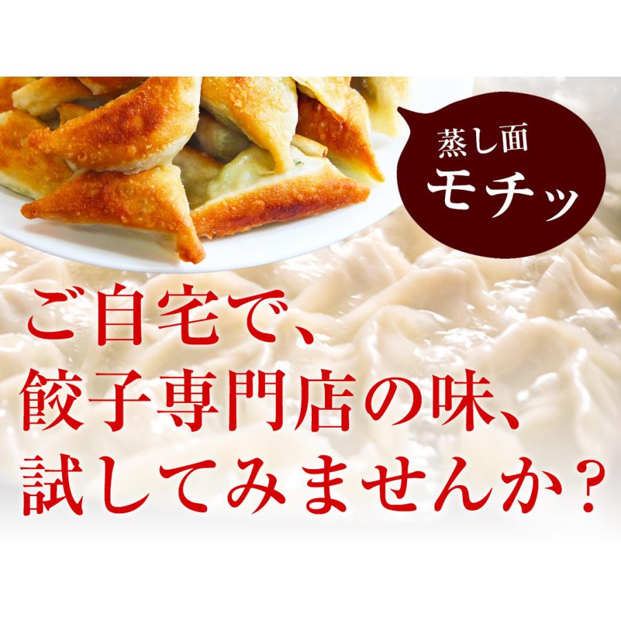 送料無料】もっちり餃子100個 生餃子 宮崎餃子大容量 もちもち