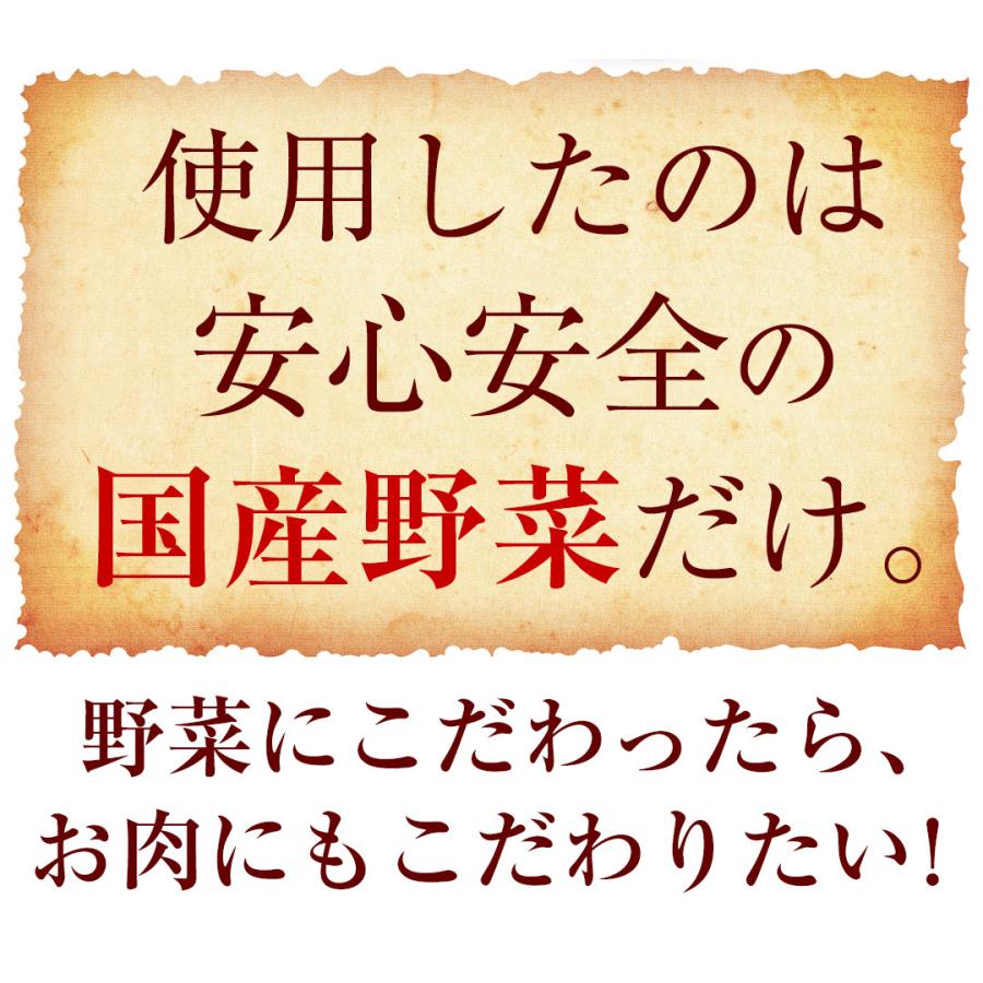 お試し もっちり餃子10個  生餃子 宮崎餃子 高鍋餃子 ご当地 国産 ぎょうざ ギョーザ  ラヴィット！ 熱狂マニア マツコ お取り寄せ  王様のブランチ |  | 10