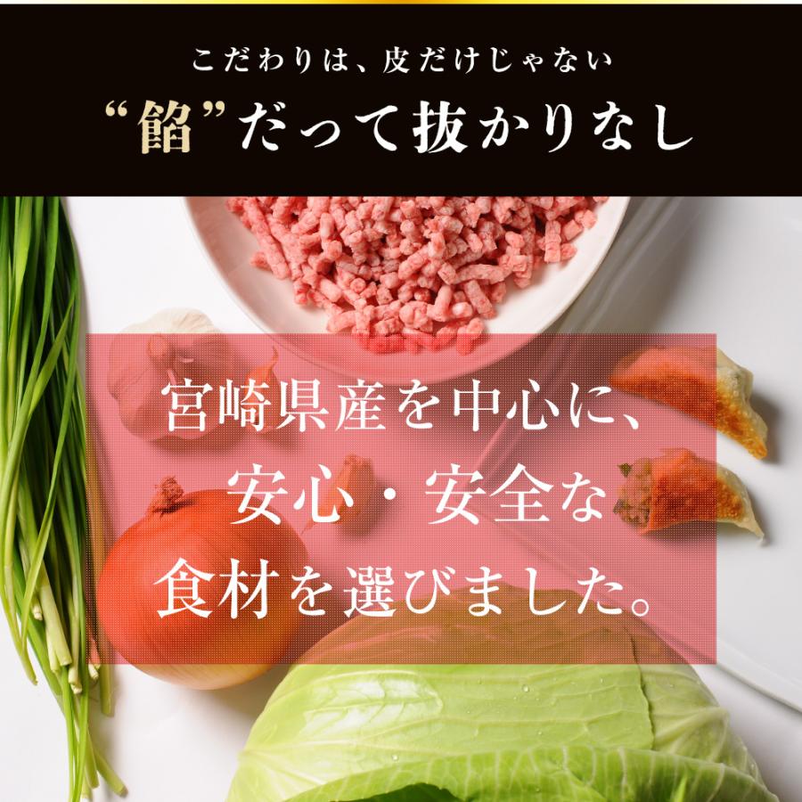 お試し もっちり餃子10個  生餃子 宮崎餃子 高鍋餃子 ご当地 国産 ぎょうざ ギョーザ  ラヴィット！ 熱狂マニア マツコ  JAPAN餃子大賞2026 最高金賞受賞 |  | 05