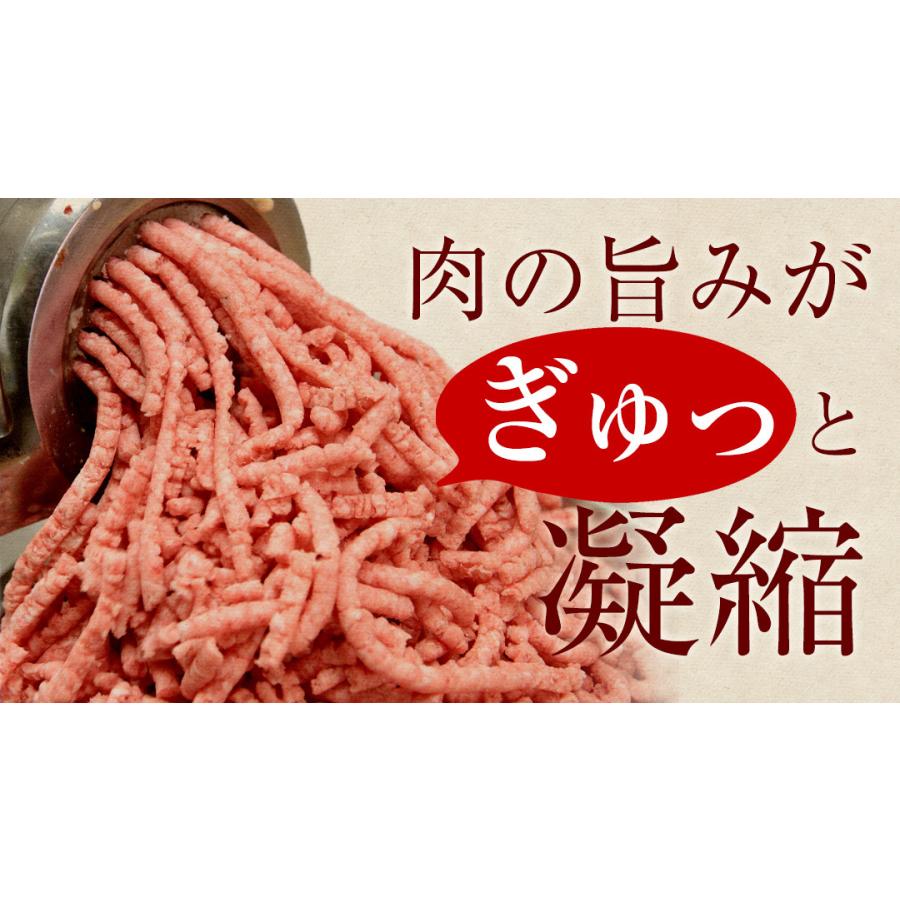お試し もっちり餃子10個  生餃子 宮崎餃子 高鍋餃子 ご当地 国産 ぎょうざ ギョーザ  ラヴィット！ 熱狂マニア マツコ お取り寄せ  王様のブランチ |  | 13