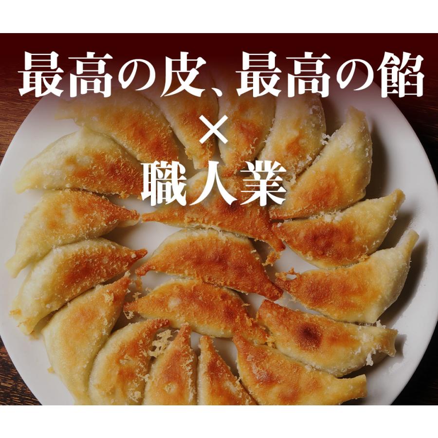 お試し もっちり餃子10個  生餃子 宮崎餃子 高鍋餃子 ご当地 国産 ぎょうざ ギョーザ  ラヴィット！ 熱狂マニア マツコ お取り寄せ  王様のブランチ |  | 15