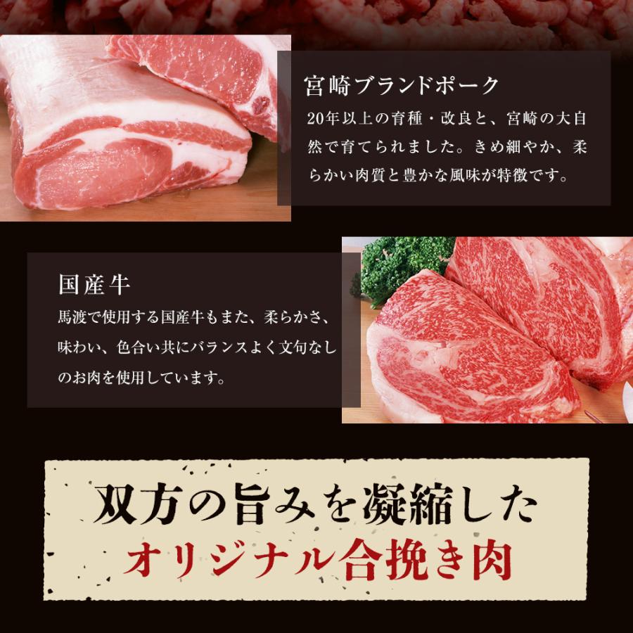 お試し もっちり餃子10個  生餃子 宮崎餃子 高鍋餃子 ご当地 国産 ぎょうざ ギョーザ  ラヴィット！ 熱狂マニア マツコ  JAPAN餃子大賞2026 最高金賞受賞 |  | 09