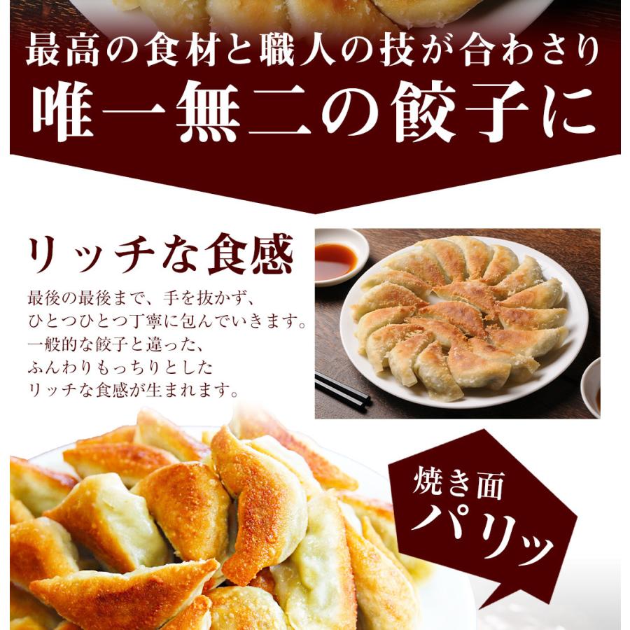 お試し もっちり餃子10個  生餃子 宮崎餃子 高鍋餃子 ご当地 国産 ぎょうざ ギョーザ  ラヴィット！ 熱狂マニア マツコ お取り寄せ  王様のブランチ |  | 16