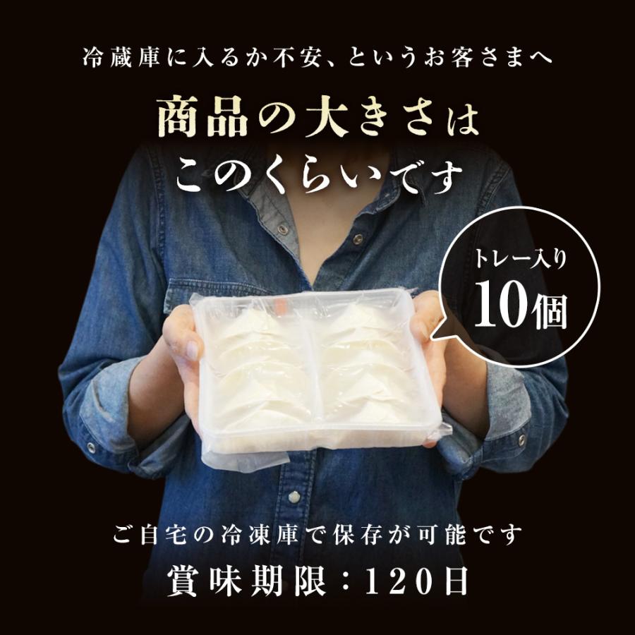 お試し もっちり餃子10個  生餃子 宮崎餃子 高鍋餃子 ご当地 国産 ぎょうざ ギョーザ  ラヴィット！ 熱狂マニア マツコ  JAPAN餃子大賞2026 最高金賞受賞 |  | 16
