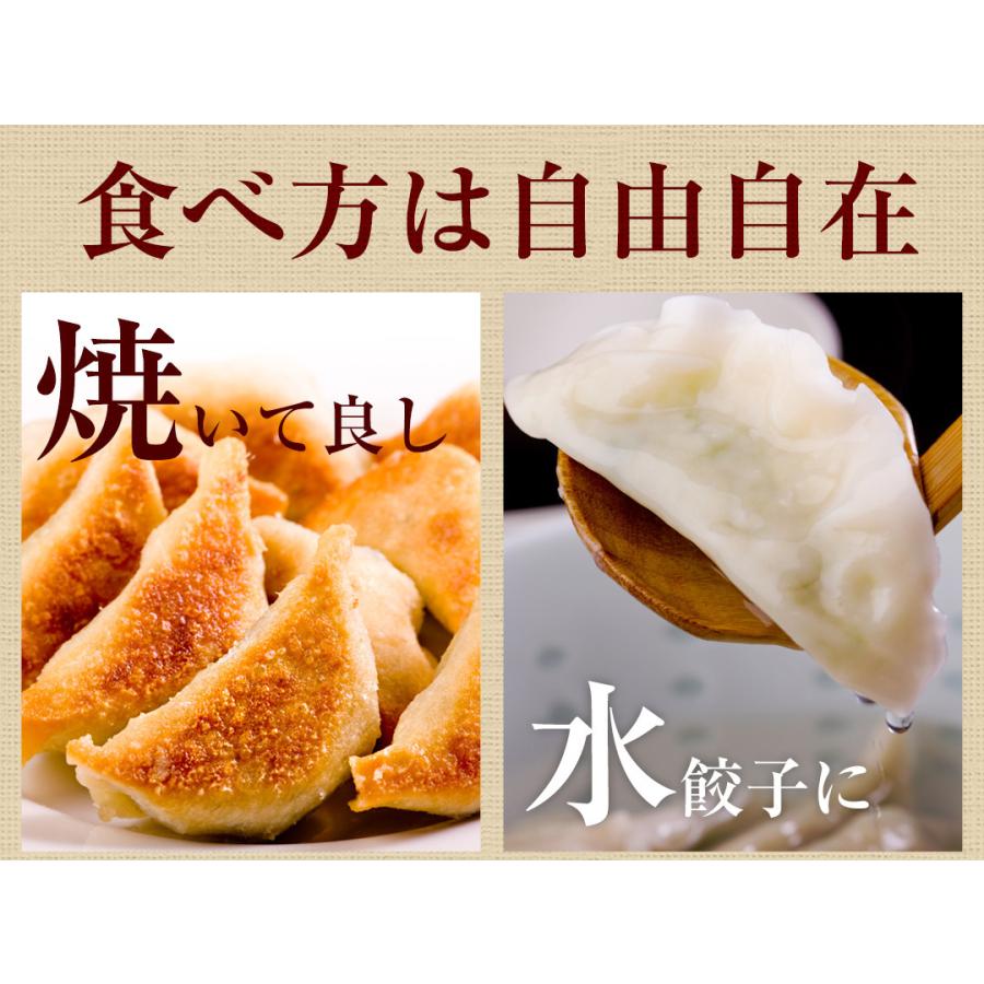 お試し もっちり餃子10個  生餃子 宮崎餃子 高鍋餃子 ご当地 国産 ぎょうざ ギョーザ  ラヴィット！ 熱狂マニア マツコ お取り寄せ  王様のブランチ |  | 18