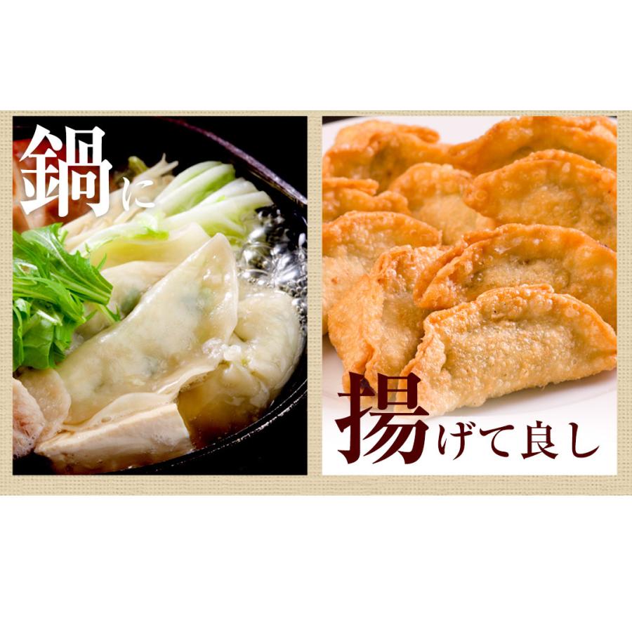 お試し もっちり餃子10個  生餃子 宮崎餃子 高鍋餃子 ご当地 国産 ぎょうざ ギョーザ  ラヴィット！ 熱狂マニア マツコ お取り寄せ  王様のブランチ |  | 19