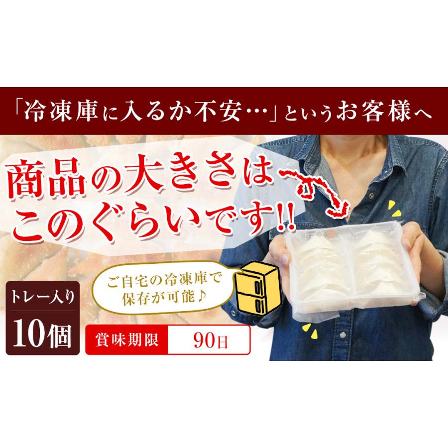 お試し もっちり餃子10個  生餃子 宮崎餃子 高鍋餃子 ご当地 国産 ぎょうざ ギョーザ  ラヴィット！ 熱狂マニア マツコ お取り寄せ  王様のブランチ |  | 20