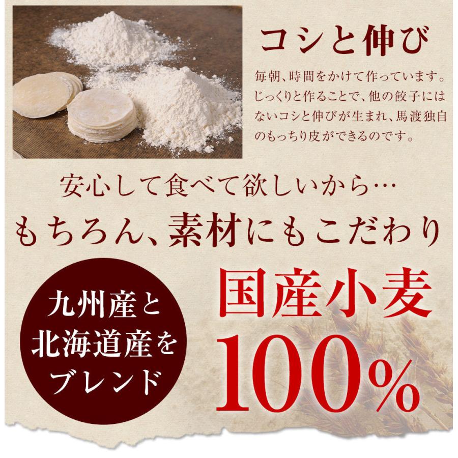 お試し もっちり餃子10個  生餃子 宮崎餃子 高鍋餃子 ご当地 国産 ぎょうざ ギョーザ  ラヴィット！ 熱狂マニア マツコ お取り寄せ  王様のブランチ |  | 05