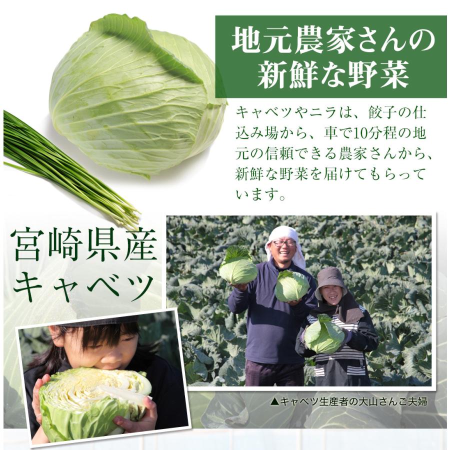 お試し もっちり餃子10個  生餃子 宮崎餃子 高鍋餃子 ご当地 国産 ぎょうざ ギョーザ  ラヴィット！ 熱狂マニア マツコ お取り寄せ  王様のブランチ |  | 08