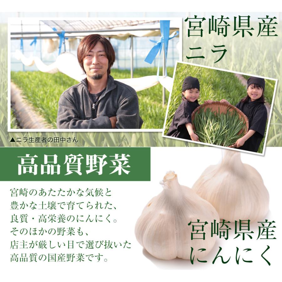 お試し もっちり餃子10個  生餃子 宮崎餃子 高鍋餃子 ご当地 国産 ぎょうざ ギョーザ  ラヴィット！ 熱狂マニア マツコ お取り寄せ  王様のブランチ |  | 09