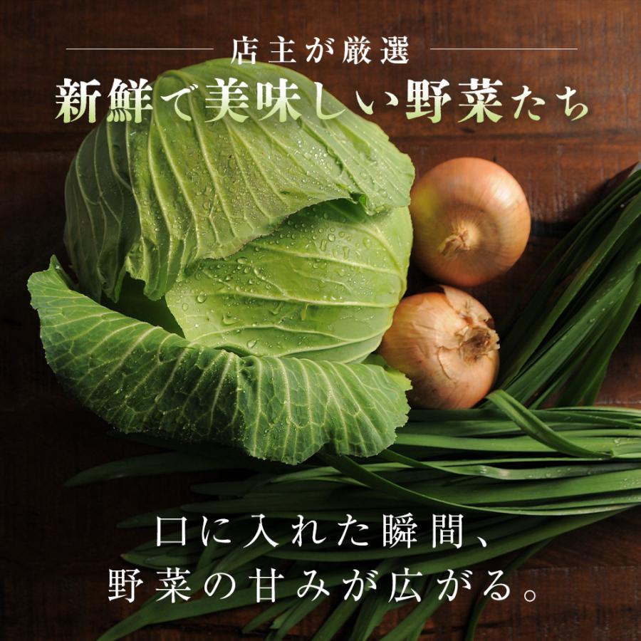 もっちり餃子30個  生餃子 宮崎餃子 高鍋餃子 九州 国産100% 特産品 お取り寄せ ラード 熱狂マニア マツコ 知らない世界  JAPAN餃子大賞2026 最高金賞受賞 |  | 05