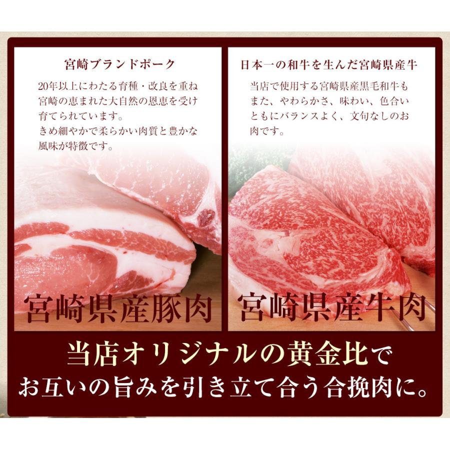 もっちり餃子30個  生餃子 宮崎餃子 高鍋餃子 九州 国産100% 特産品 お取り寄せ ラードラヴィット！熱狂マニア マツコ 知らない世界 王様のブランチ |  | 12