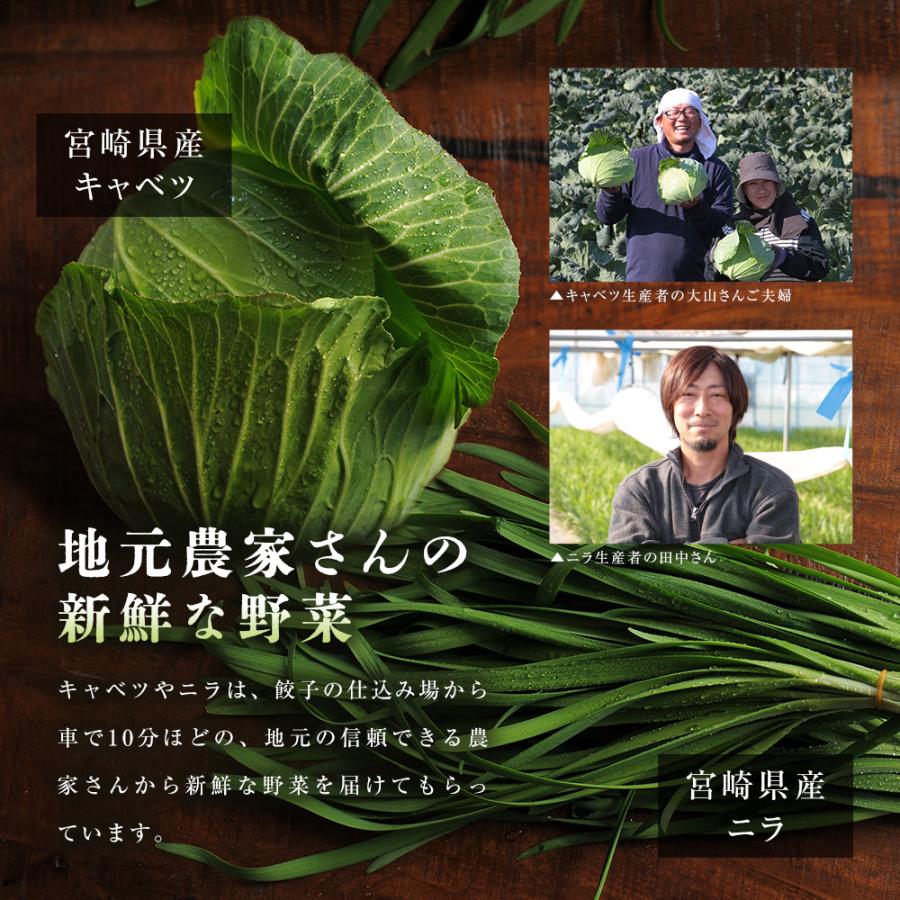 もっちり餃子30個  生餃子 宮崎餃子 高鍋餃子 九州 国産100% 特産品 お取り寄せ ラード 熱狂マニア マツコ 知らない世界  JAPAN餃子大賞2026 最高金賞受賞 |  | 06