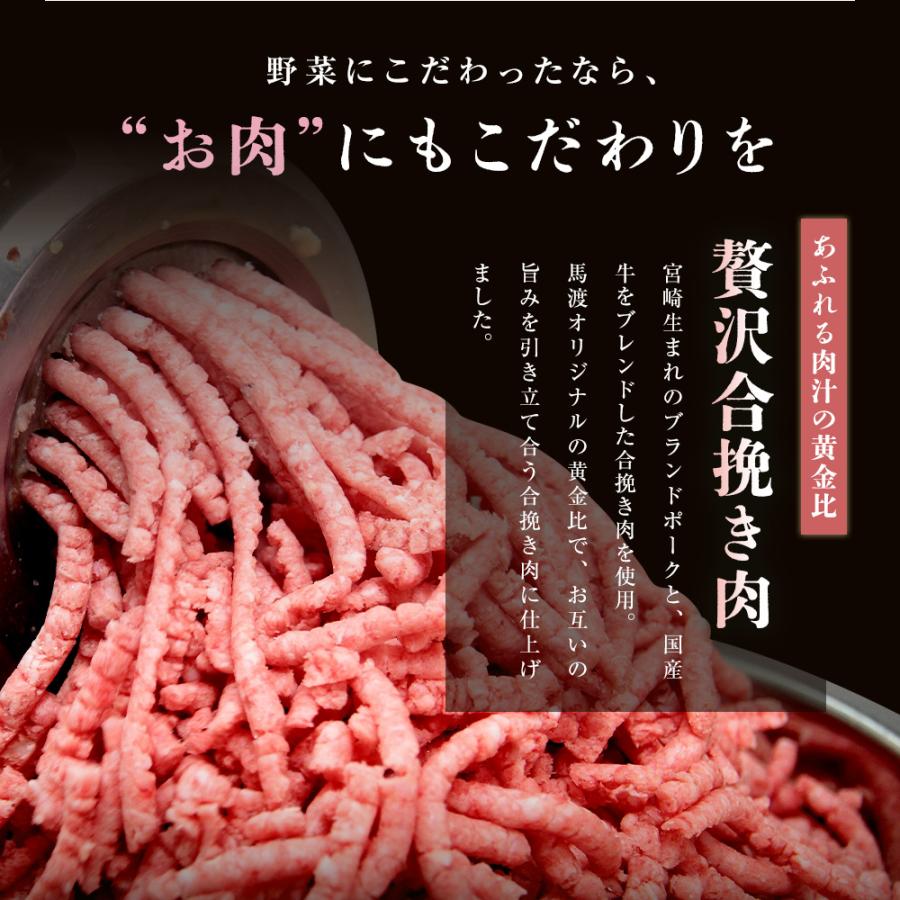 もっちり餃子30個  生餃子 宮崎餃子 高鍋餃子 九州 国産100% 特産品 お取り寄せ ラード 熱狂マニア マツコ 知らない世界  JAPAN餃子大賞2026 最高金賞受賞 |  | 08