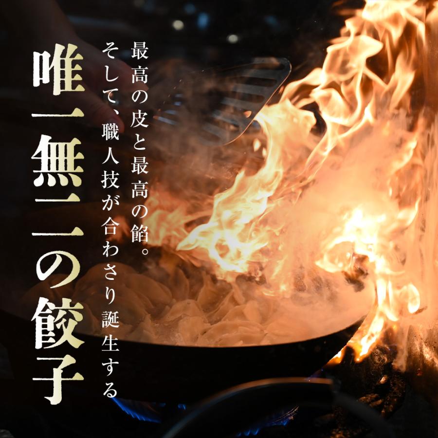 もっちり餃子30個  生餃子 宮崎餃子 高鍋餃子 九州 国産100% 特産品 お取り寄せ ラード 熱狂マニア マツコ 知らない世界  JAPAN餃子大賞2026 最高金賞受賞 |  | 11
