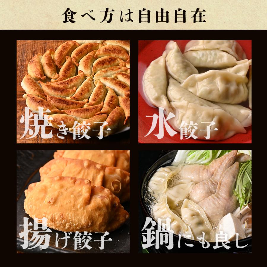 もっちり餃子30個  生餃子 宮崎餃子 高鍋餃子 九州 国産100% 特産品 お取り寄せ ラード 熱狂マニア マツコ 知らない世界  JAPAN餃子大賞2026 最高金賞受賞 |  | 12