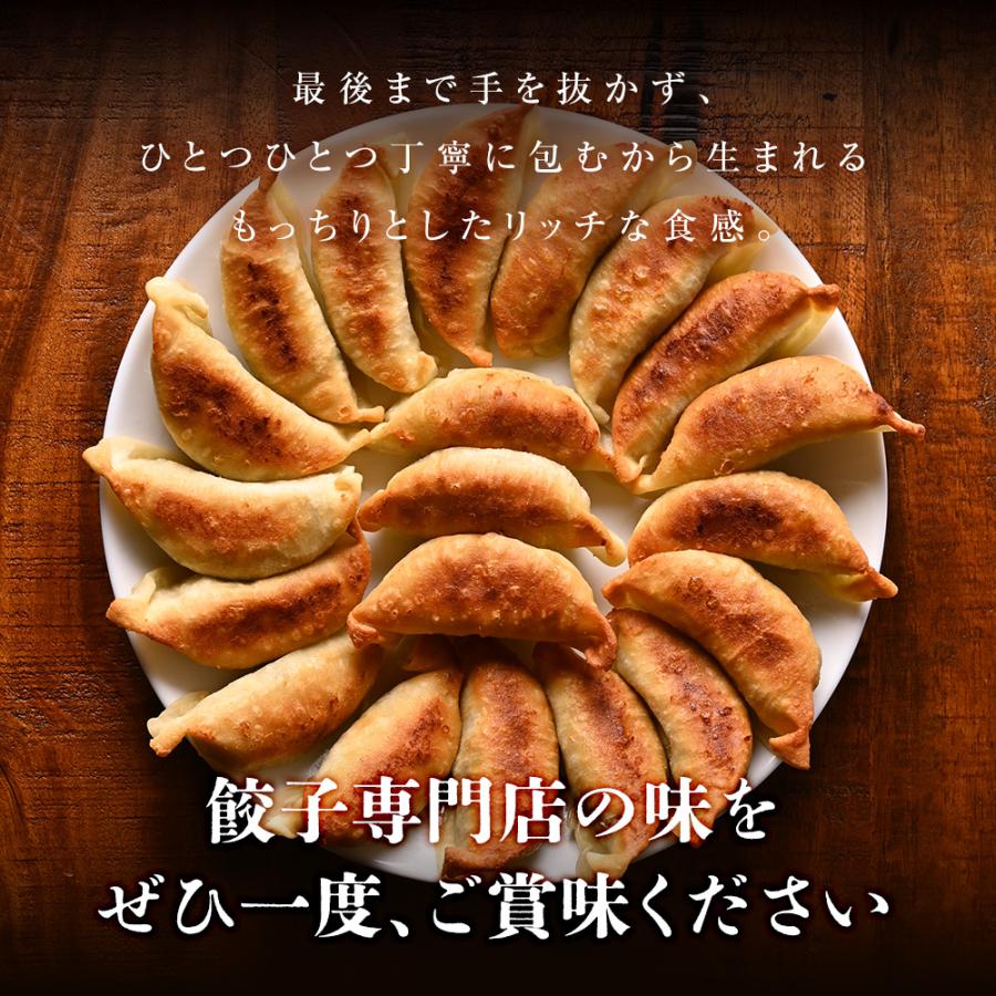 もっちり餃子30個  生餃子 宮崎餃子 高鍋餃子 九州 国産100% 特産品 お取り寄せ ラード 熱狂マニア マツコ 知らない世界  JAPAN餃子大賞2026 最高金賞受賞 |  | 13
