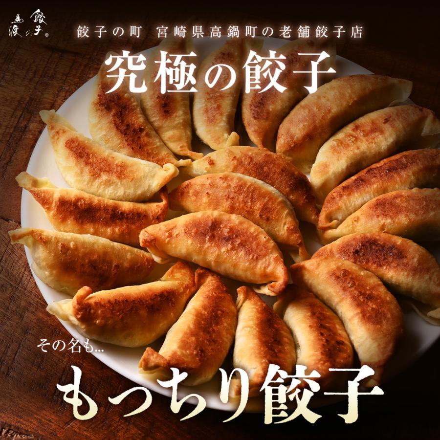 もっちり餃子30個  生餃子 宮崎餃子 高鍋餃子 九州 国産100% 特産品 お取り寄せ ラード 熱狂マニア マツコ 知らない世界  JAPAN餃子大賞2026 最高金賞受賞 |  | 01
