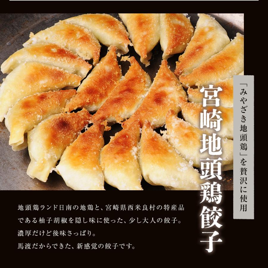 【期間限定】馬渡の食べくらべ4種セット【mekj40】【ギフト】【お中元】【送料無料】 生餃子 宮崎餃子 高鍋餃子 ラヴィット！ 熱狂マニア マツコ 知らない世界 |  | 04