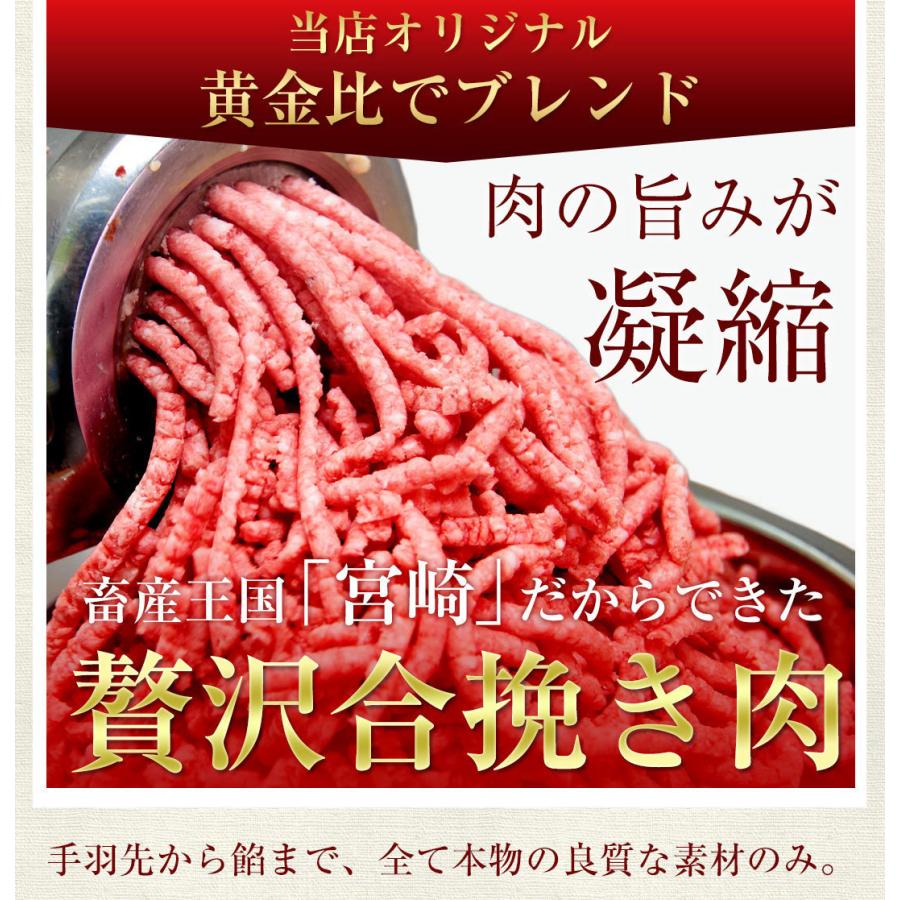 宮崎餃子 手羽餃子2本 手羽先 宮崎産鶏 国産100 お試し ぷりぷり 低糖質 グルテンフリー おつまみ 晩酌 お弁当 特産品 アサデス T 02 餃子のまち高鍋町 餃子の馬渡 通販 Yahoo ショッピング