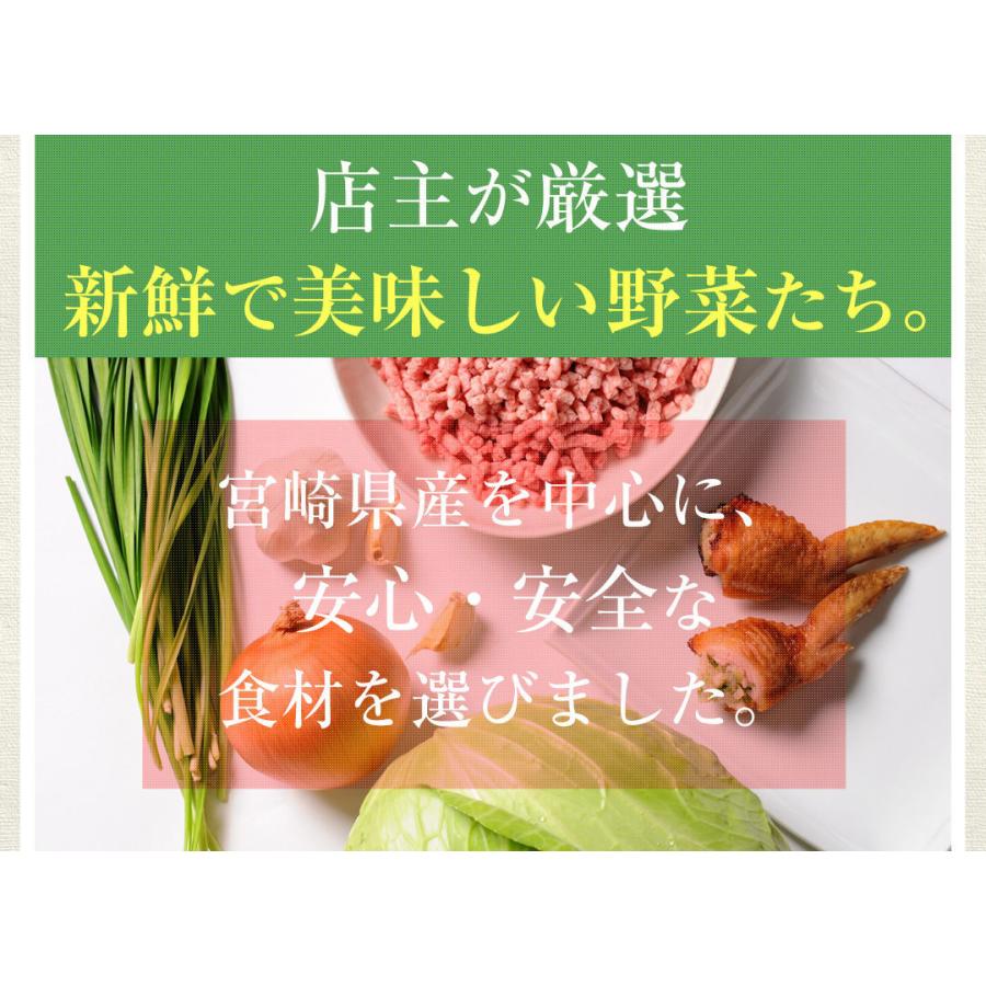 【がむしゃらグルメ 日本一の餃子認定！】手羽餃子7本 鶏手羽先 　宮崎ぎょうざ 宮崎産鶏 国産100% 特産品 おつまみ BBQ 低糖質 ラヴィット！ 熱狂マニアさん |  | 13
