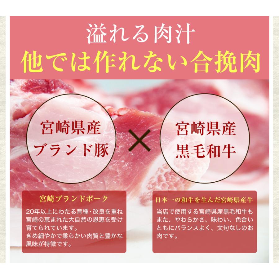 【がむしゃらグルメ 日本一の餃子認定！】手羽餃子7本 鶏手羽先 　宮崎ぎょうざ 宮崎産鶏 国産100% 特産品 おつまみ BBQ 低糖質 ラヴィット！ 熱狂マニアさん |  | 16