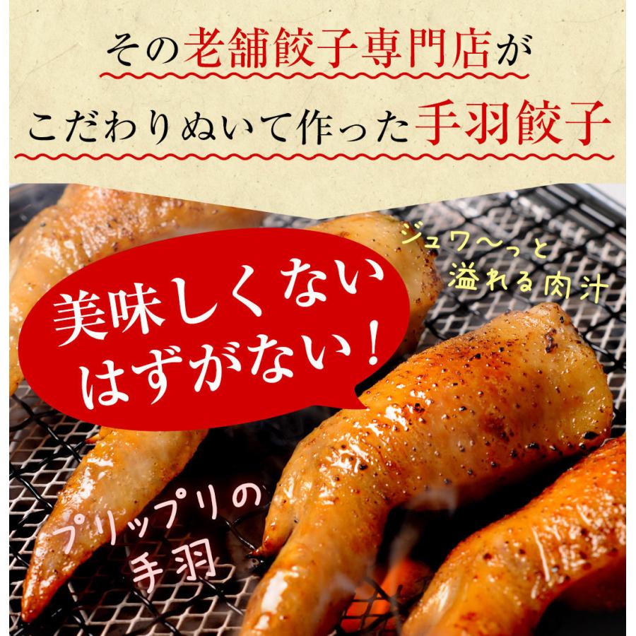 【がむしゃらグルメ 日本一の餃子認定！】手羽餃子7本 鶏手羽先 　宮崎ぎょうざ 宮崎産鶏 国産100% 特産品 おつまみ BBQ 低糖質 ラヴィット！ 熱狂マニアさん |  | 03