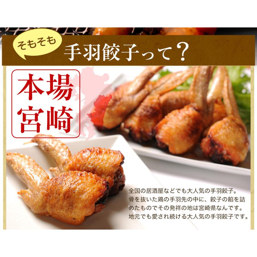 【がむしゃらグルメ 日本一の餃子認定！】手羽餃子7本 鶏手羽先 　宮崎ぎょうざ 宮崎産鶏 国産100% 特産品 おつまみ BBQ 低糖質 ラヴィット！ 熱狂マニアさん |  | 04