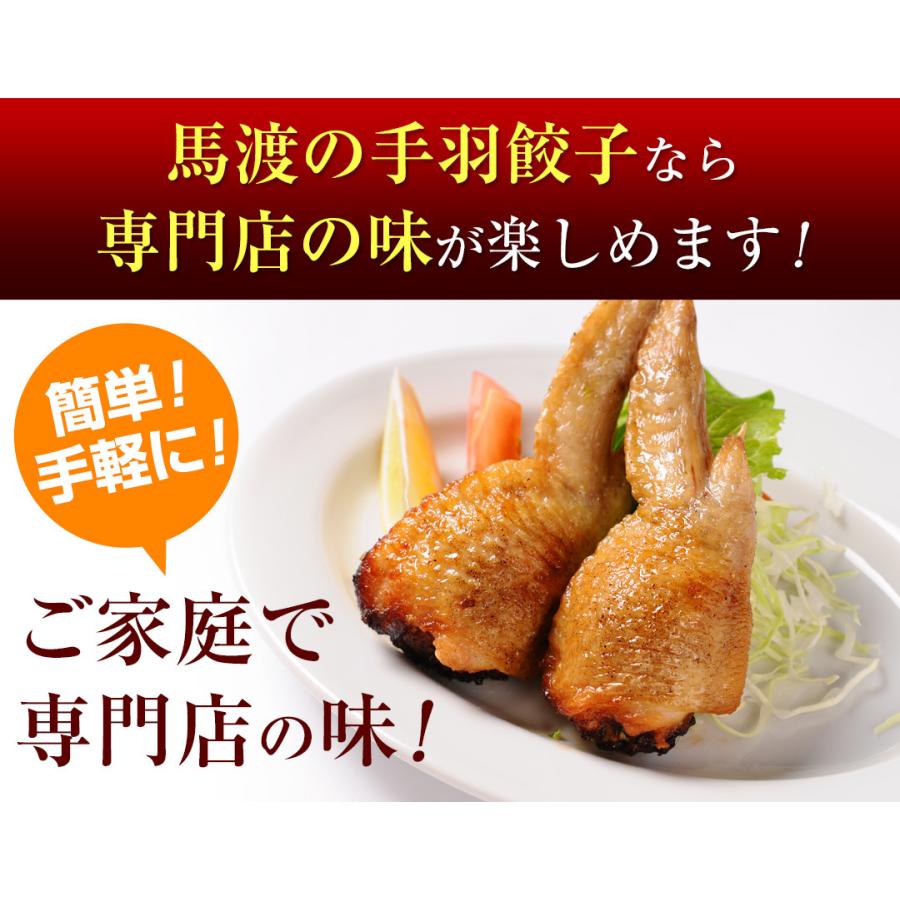 【がむしゃらグルメ 日本一の餃子認定！】手羽餃子7本 鶏手羽先 　宮崎ぎょうざ 宮崎産鶏 国産100% 特産品 おつまみ BBQ 低糖質 ラヴィット！ 熱狂マニアさん |  | 07