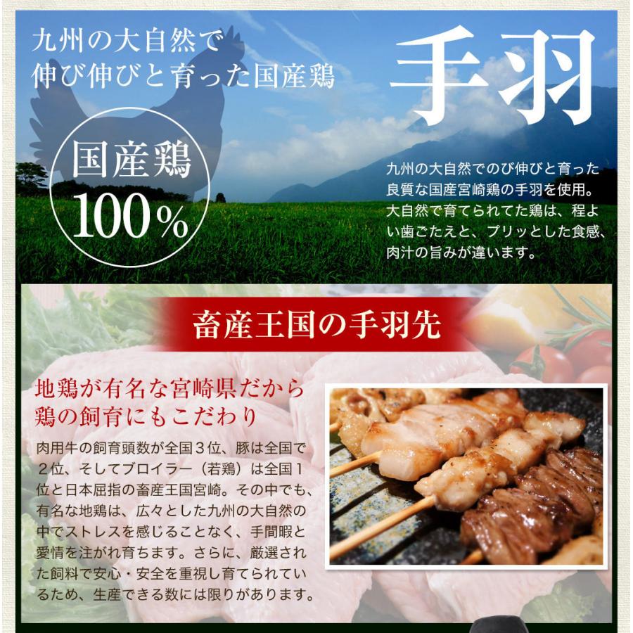 【がむしゃらグルメ 日本一の餃子認定！】手羽餃子7本 鶏手羽先 　宮崎ぎょうざ 宮崎産鶏 国産100% 特産品 おつまみ BBQ 低糖質 ラヴィット！ 熱狂マニアさん |  | 09