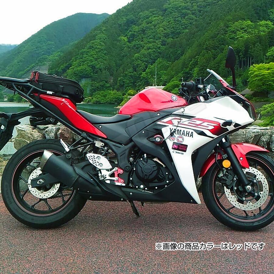 休日限定 YZF-R25 R3 MT用 ステップアップ プレート agapeeurope.org
