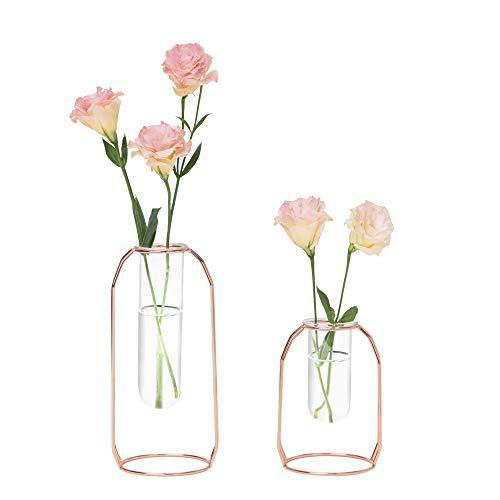 Hyindoor 水耕栽培花瓶 金属枠 透明 ガラス花瓶 テラリウム容器 試験管花瓶 2個入 植物ポット フラワーベース ローズゴールド S マックス商会 通販 Yahoo ショッピング