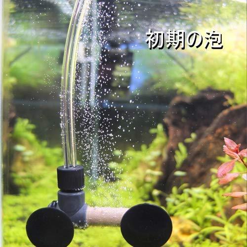 100 本物 水質管理 Nature Japanスーパーディフューザー 水槽 Co2 二酸化炭素 ディフューザー 超微細孔霧 V Ap 007 Www Threeriversofs Com