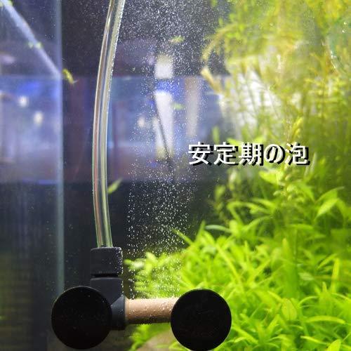 100 本物 水質管理 Nature Japanスーパーディフューザー 水槽 Co2 二酸化炭素 ディフューザー 超微細孔霧 V Ap 007 Www Threeriversofs Com