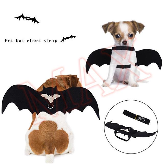 ハロウィン ペット用 アクセサリー コウモリ 翼 クリスマス 祝日 仮装 ペット コスチューム 犬 猫 ファッション 品質保証 ペット用品 コスプレ グッズ 4aura6sdf5 レアマックスストア 通販 Yahoo ショッピング