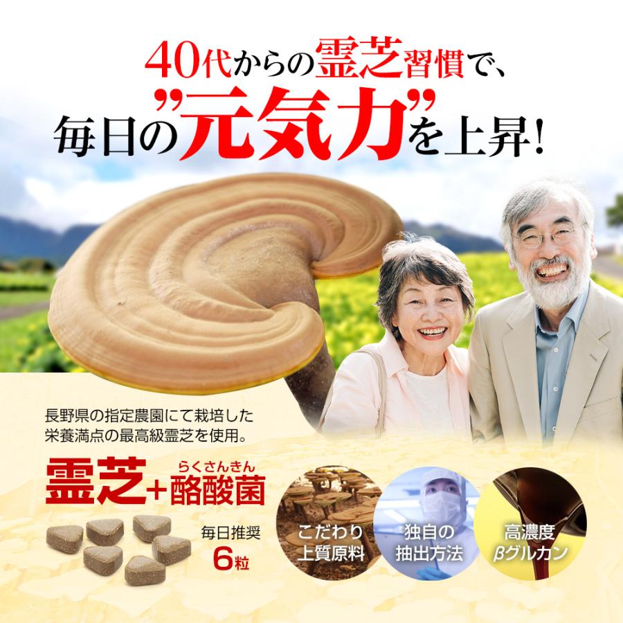 高濃度抽出 国産 長野県産 プレミアム 霊芝 サプリメント 酪酸菌