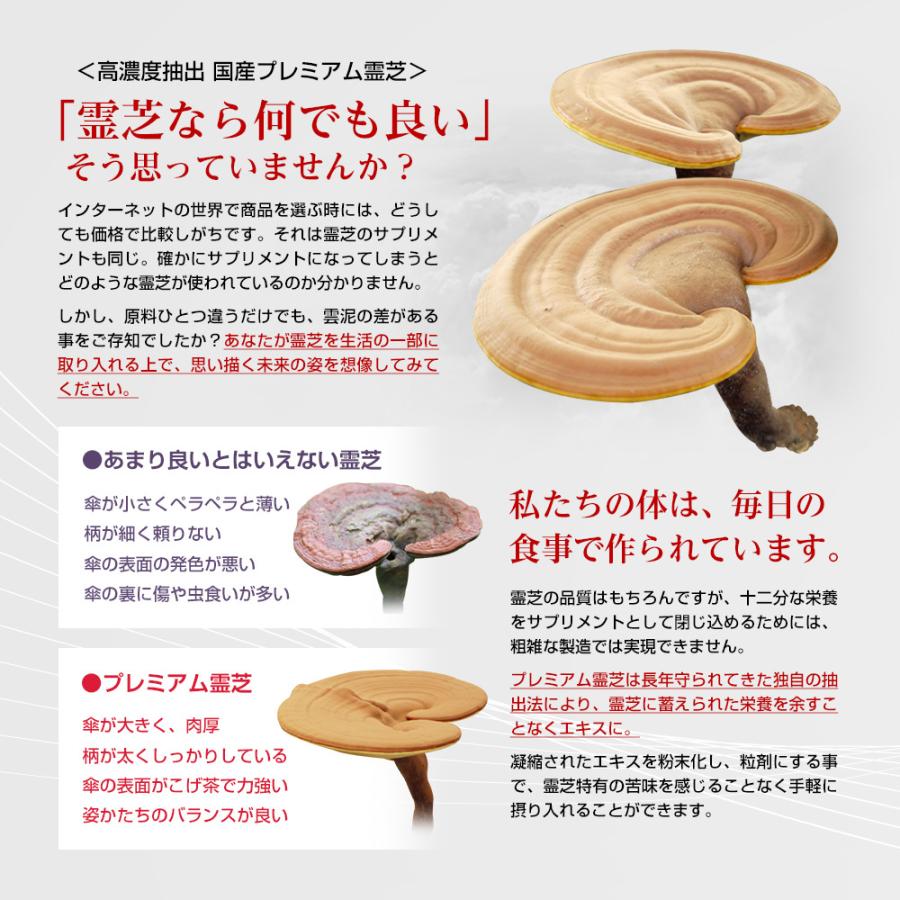 高濃度抽出 国産 長野県産 プレミアム 霊芝 サプリメント 酪酸菌