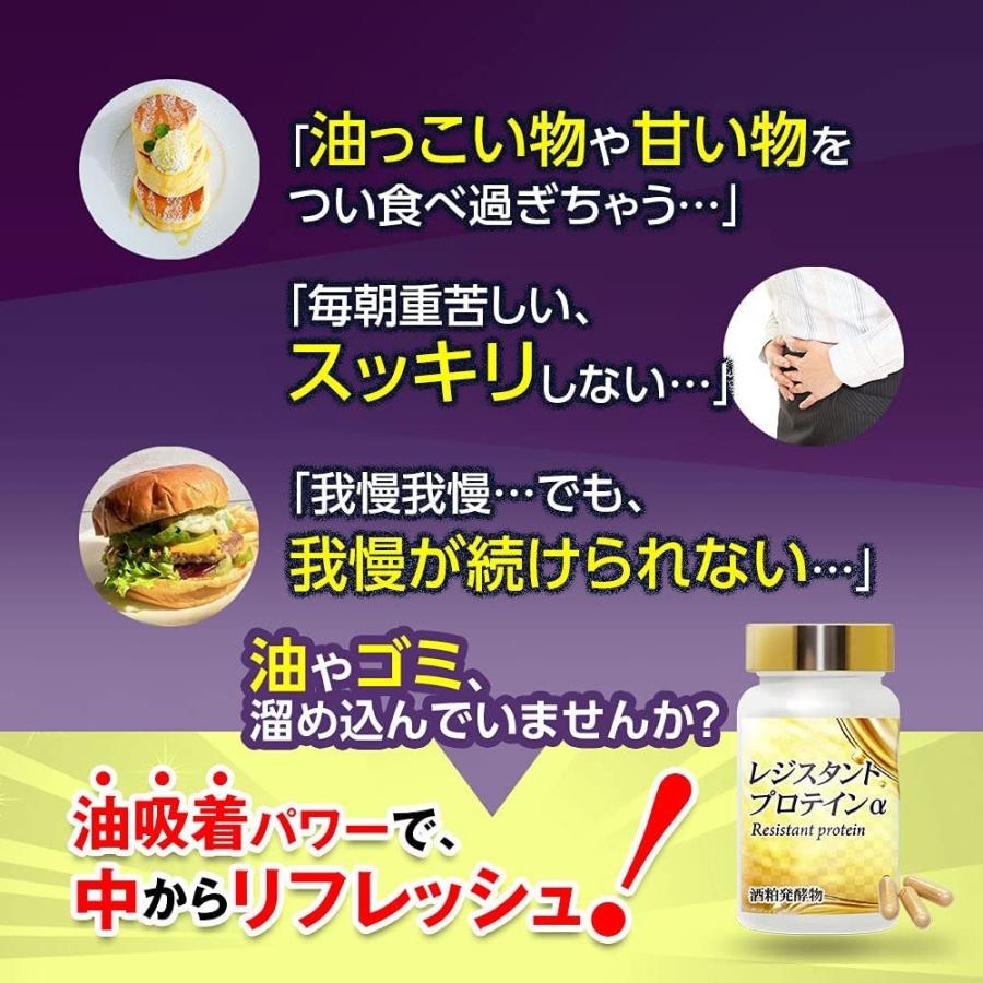 レジスタントプロテインα 日本製 60粒 30日分 正規品 プロファイバー
