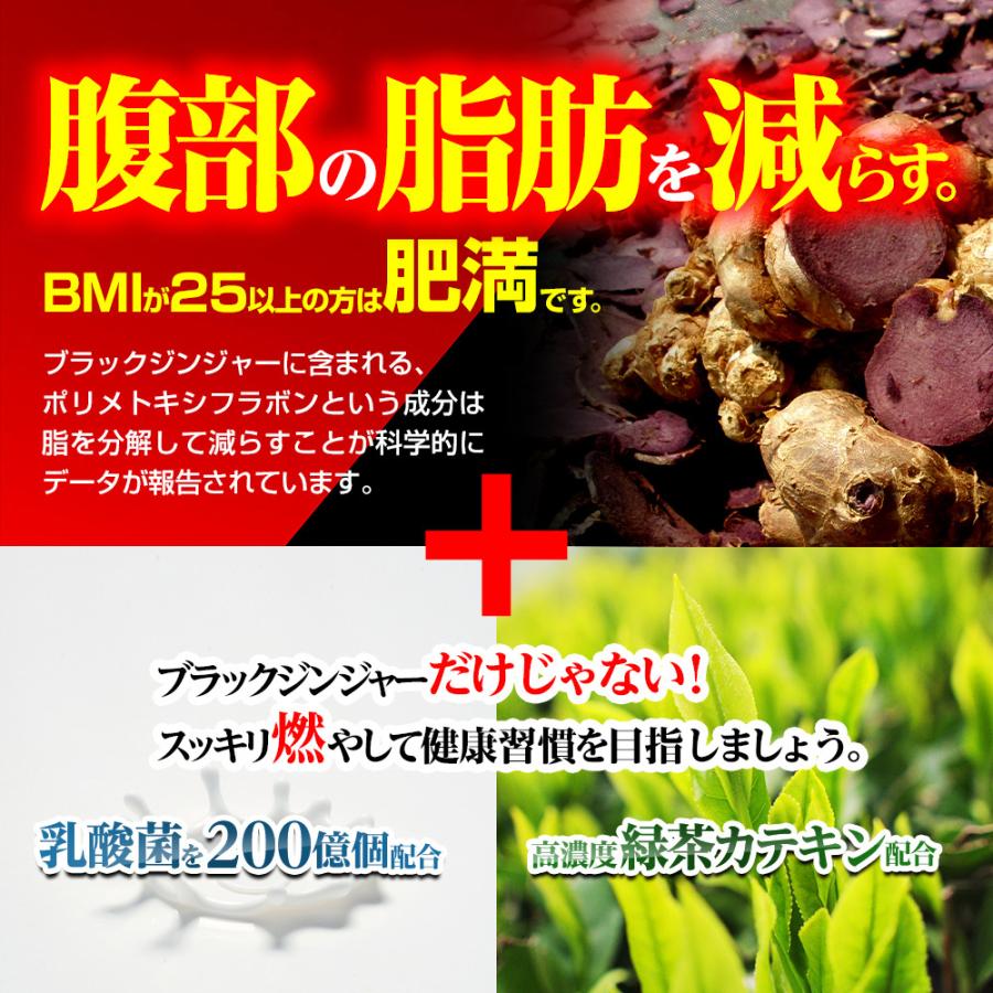 ダイエット サポート ブラックジンジャー ポリメトキシフラボン 機能性