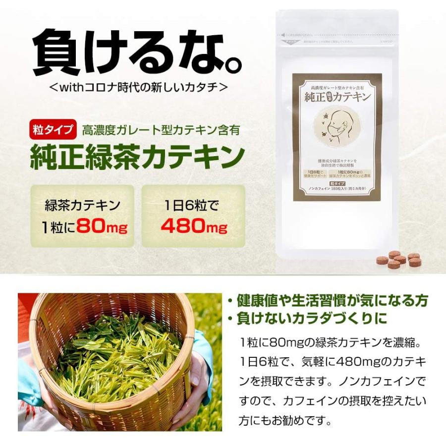 シニア応援】通常価格より20%OFF！エピガロカテキンガレート(EGCG)等
