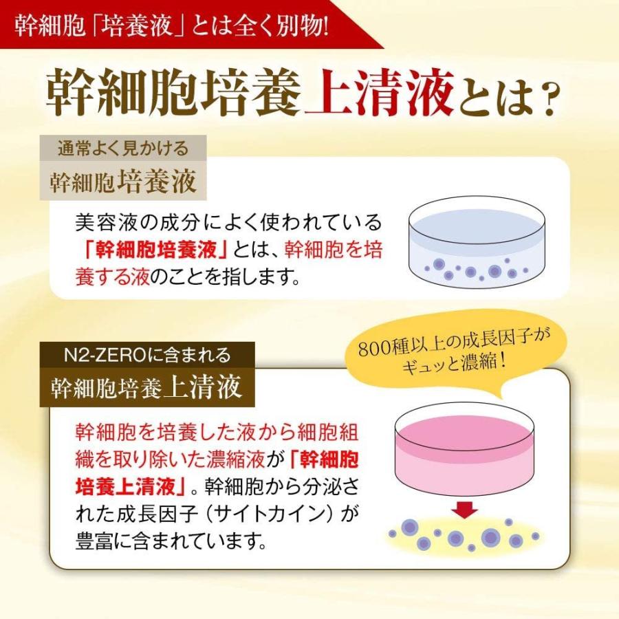 【メール便】 N2-ZERO 導入美容液 ヒト由来幹細胞培養上清液配合 エイジングケア ウイルス検査済 日本製 30ml 【2351902030】(12870円)