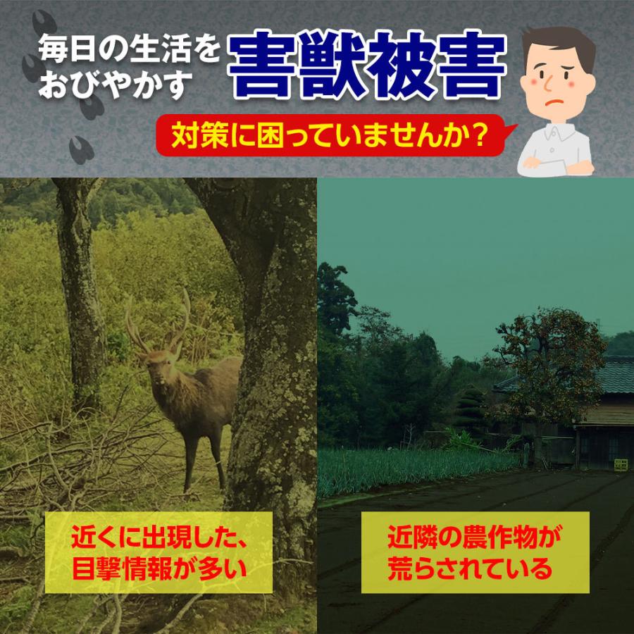 最新型 西川式くくり罠 わな造君 正規品 N-2型 シカ イノシシ捕獲用 害