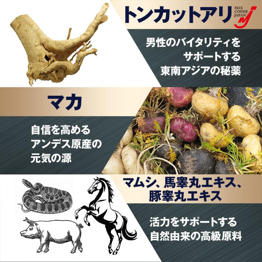 VIAGRADE X マカ トンカットアリ サプリメント 国内製造 30日分 L