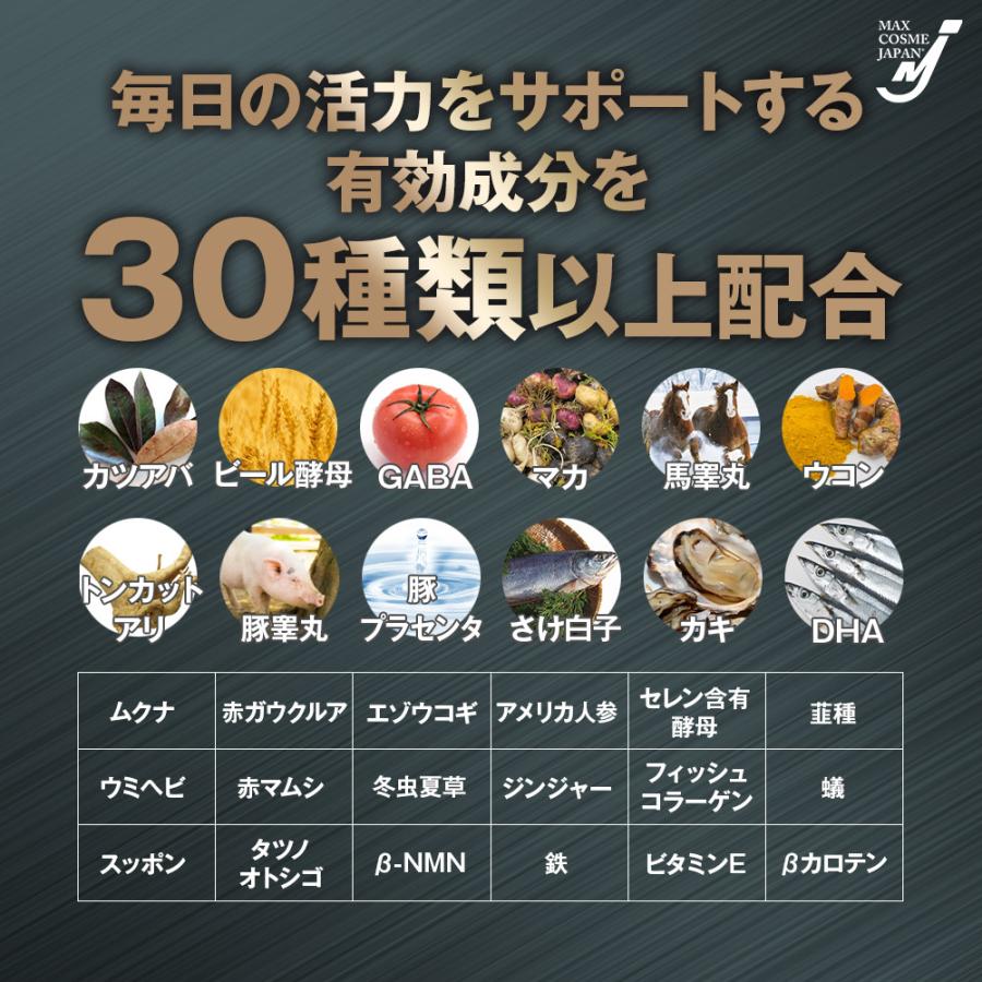 VIAGRADE X マカ トンカットアリ サプリメント 国内製造 30日分 L